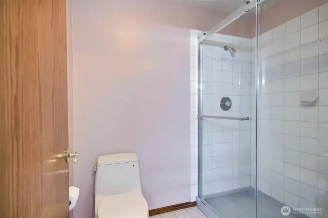 Updated Primary Shower