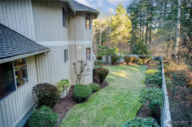 Side yard view