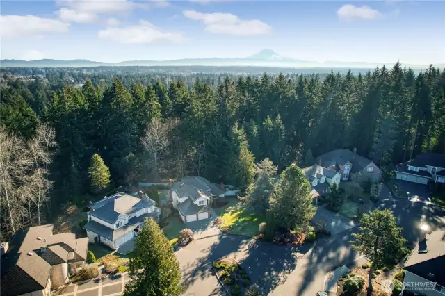 Nestled in Cul-de-sac