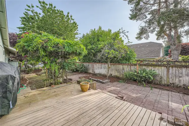 Fully fenced backyard.