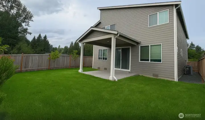 Backyard