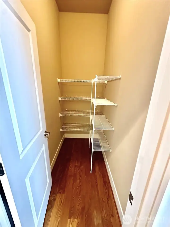 Large walk-in pantry of the butler area between kitchen and formal dining.
