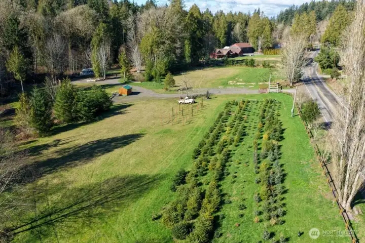 Potential Tree Farm opportunity! The Seller's have operated a Christmas Tree lot here the last few years. They have planted several types of Christmas trees as well. Ready to harvest this coming season!
