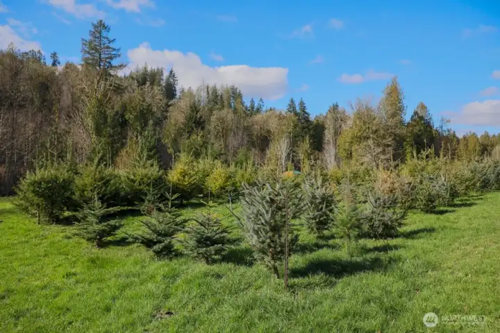 Sleigh Bells ring, are you listening?!!