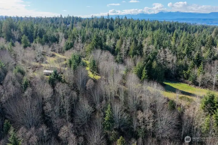 There is quite a lot of level land at the top of this 37+ acres. So many possibilities! The structure you see, is the solidly built base camp tent.