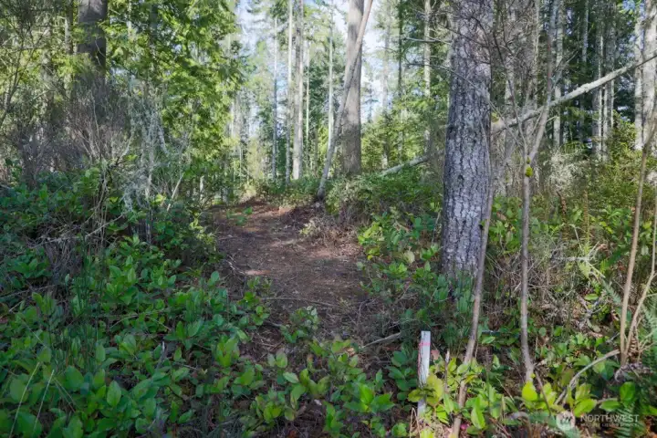 Here's a corner marker up top. There are also two water meters nearby.