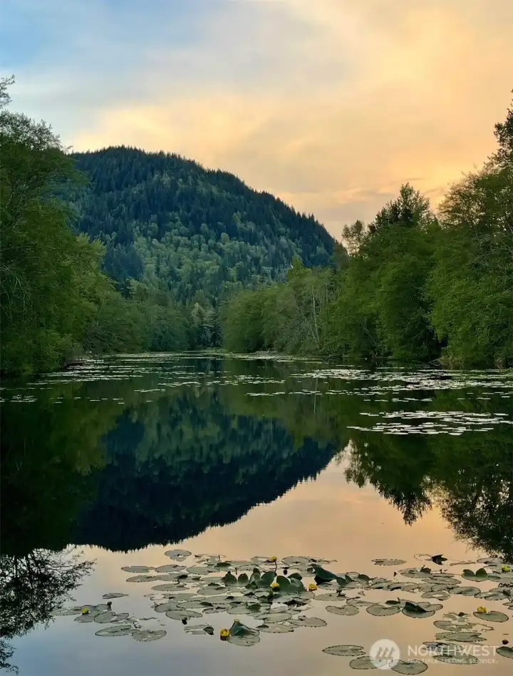 Area amenities- Glenhaven Lakes