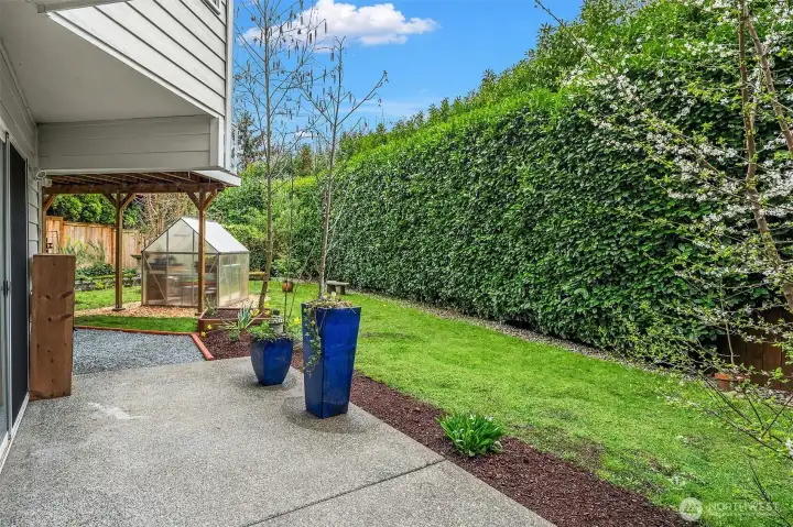 side patio overlooking the backyard and greenhouse