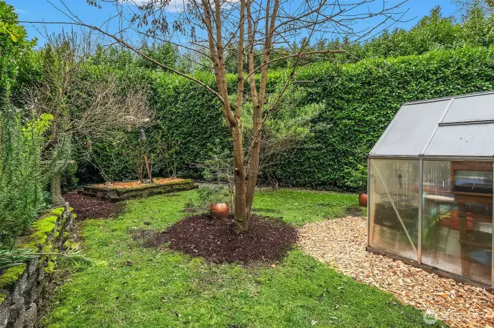 lush foliage frames the backyard, creating a private, park-like setting