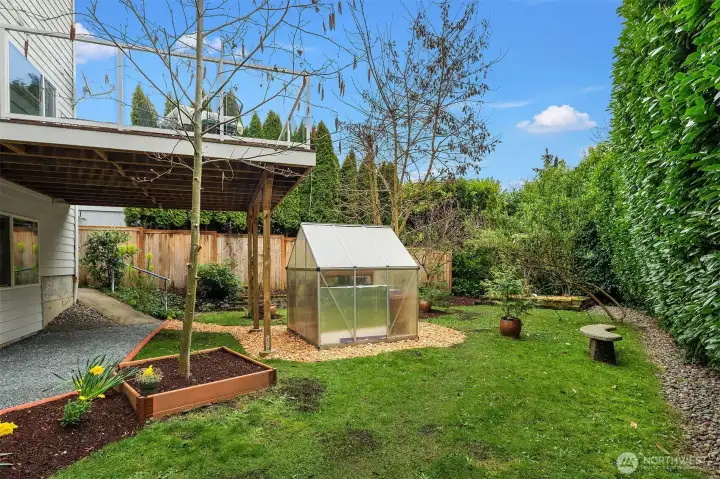 framed backyard greenery