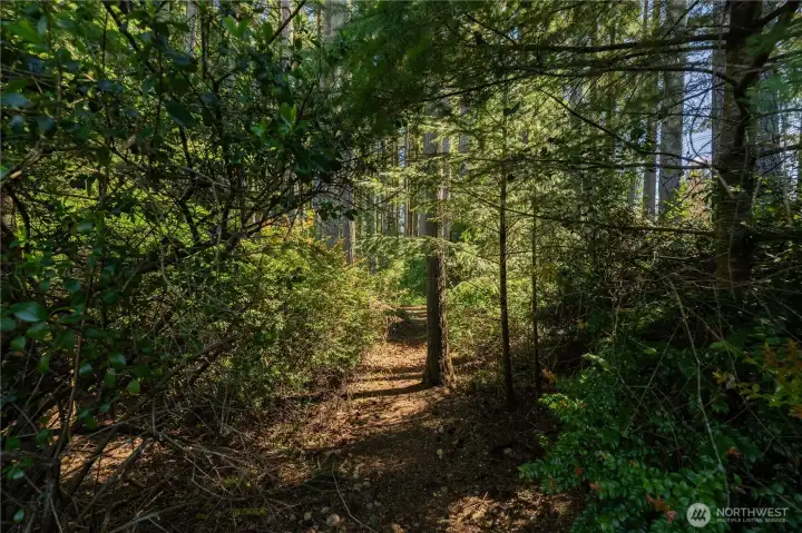 Trails behind the home