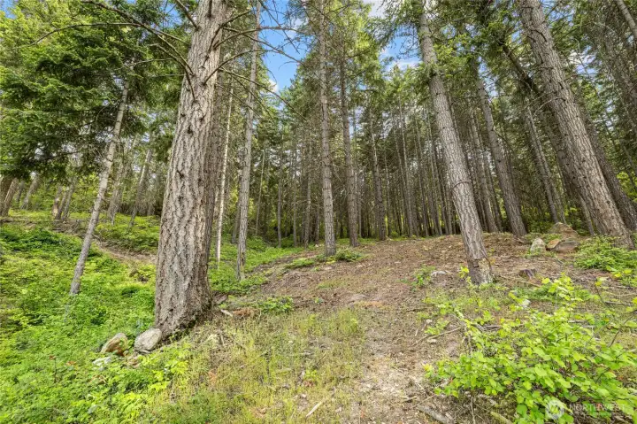 3 useable acres