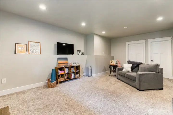 Basement suit living room