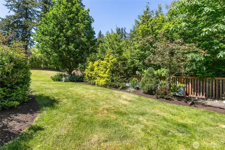 back yard garden view