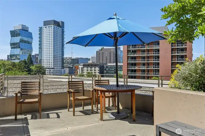 Community Terrace - *Includes 2 gas grills, gas fire pit, and a pet relief station. Able to be reserved as a shared space.