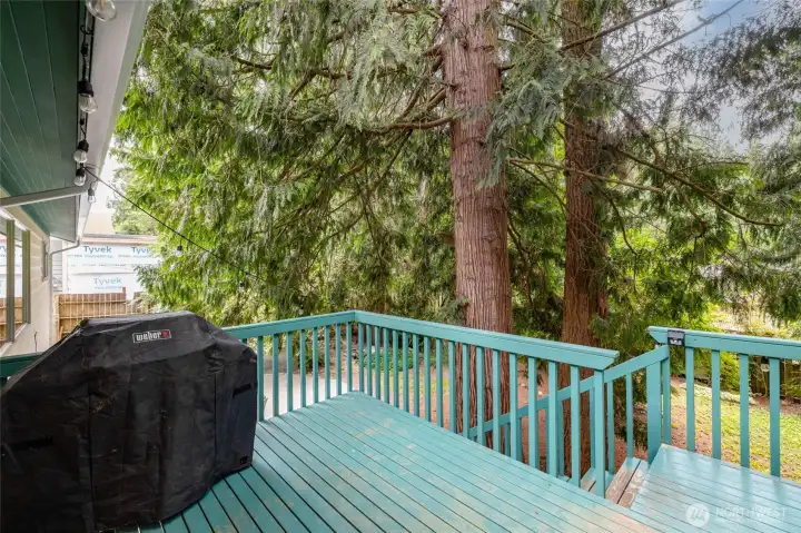 Deck right off the upper living spaces