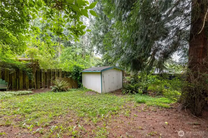 Shed
