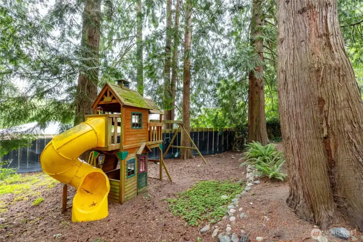 Jungle Gym