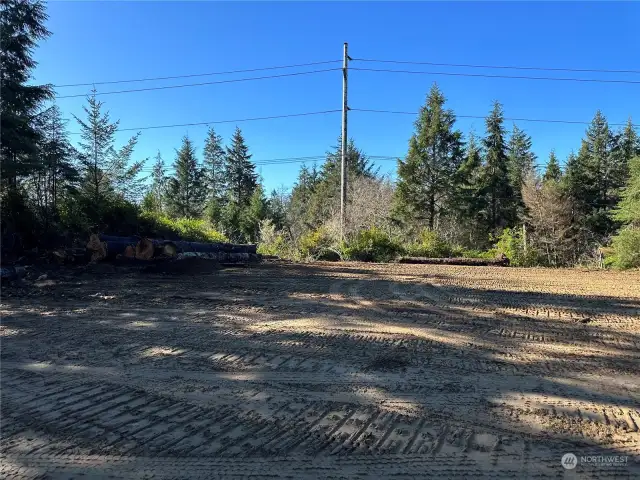 Standing on east side of cleared area, looking west.