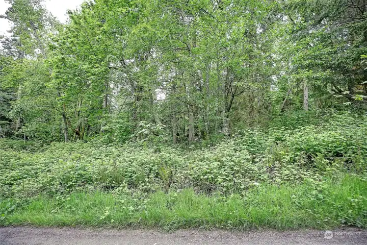 Street View on Amber Lane