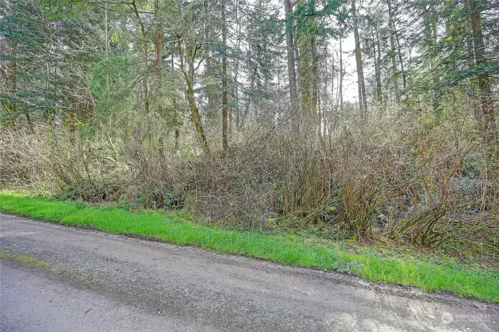 Street View on Amber Lane