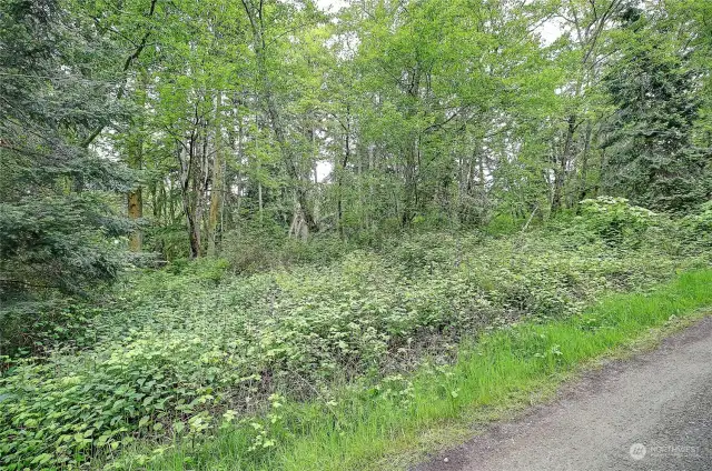 Street View on Amber Lane