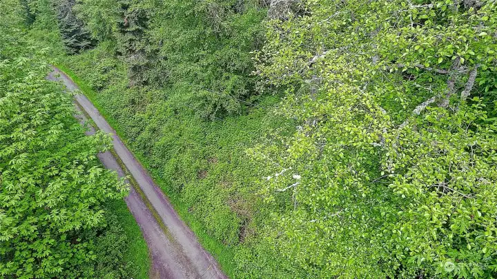 Aerial View on Amber Lane