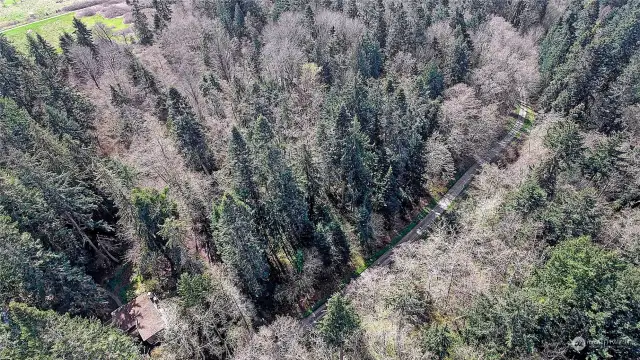 Aerial View of Area