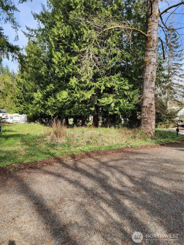 This corner section is part of the .51 acres of the two lots available.  Beautiful trees.