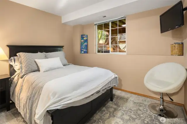 Lower level bedroom.