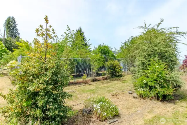 Garden space in fully fenced yard`