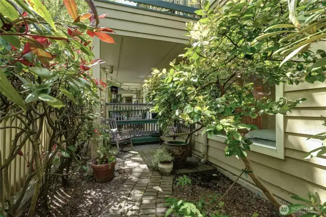 Mature plants surround the brick pathway.