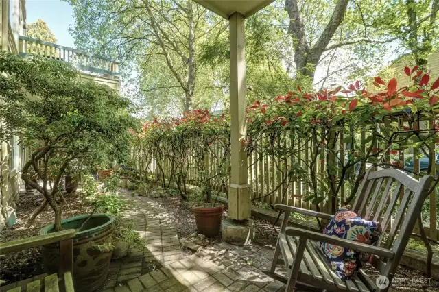 Beautiful photinias along the fence keep the space hidden and private.