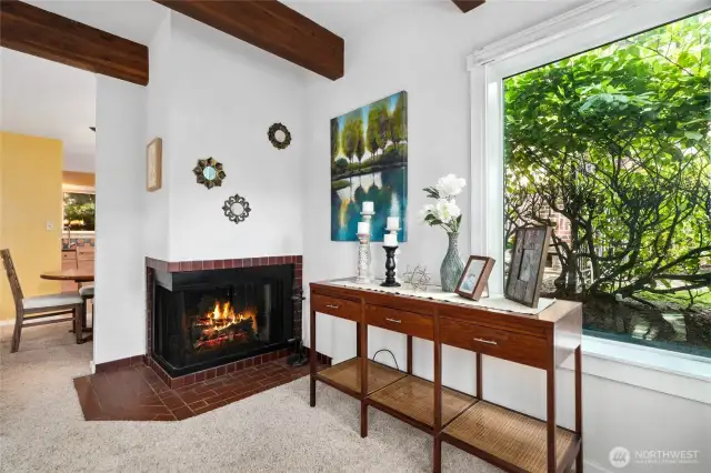 Wood burning fireplace