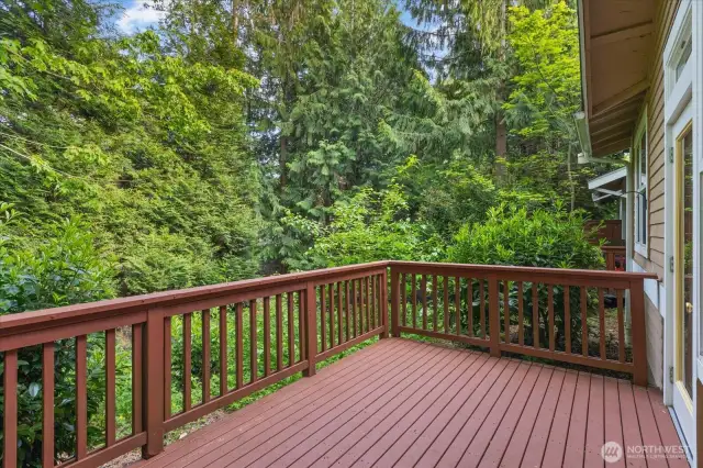 Private Entertainment Size Deck