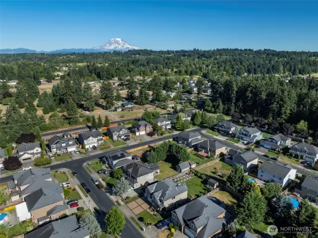 Living near Mt Rainier!