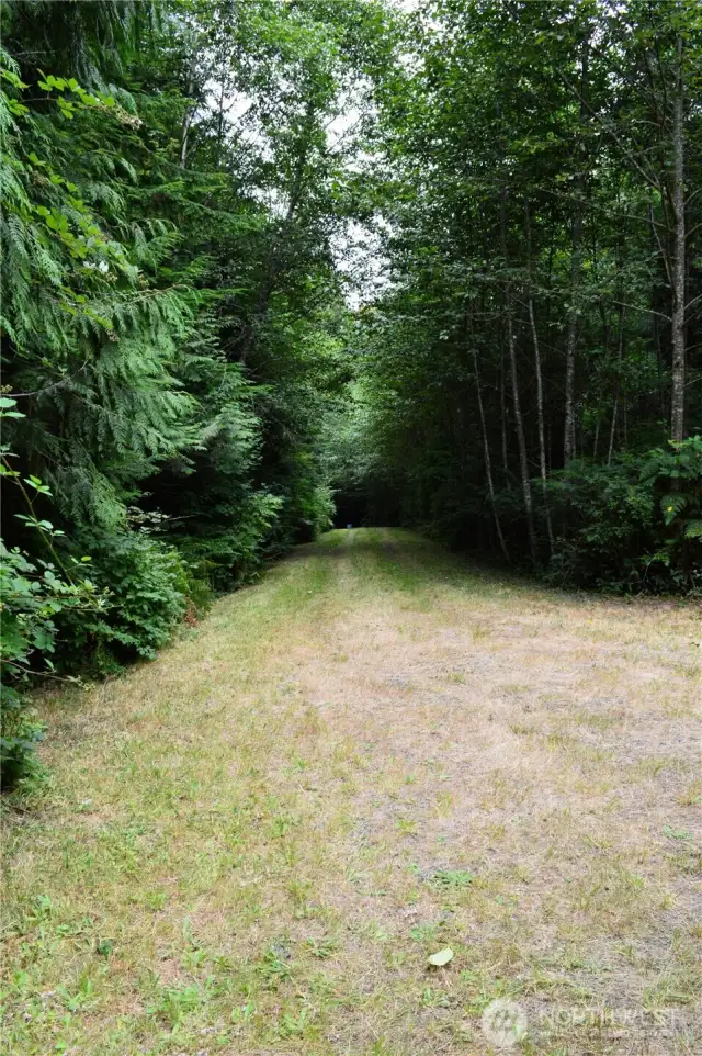 Here is the top of the property at the south west corner, looking back towards the driveway area.