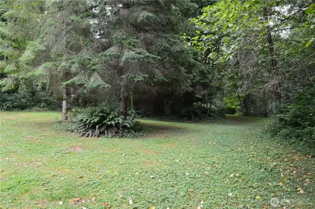 You will see park-like beauty all around you!