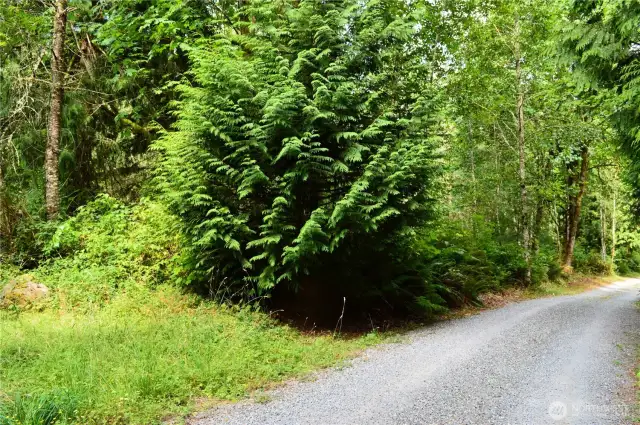This photo is close to the southeast corner of the property.