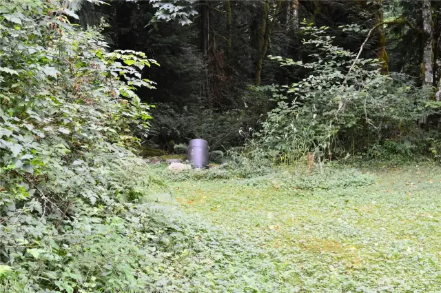 Here is the shared well.