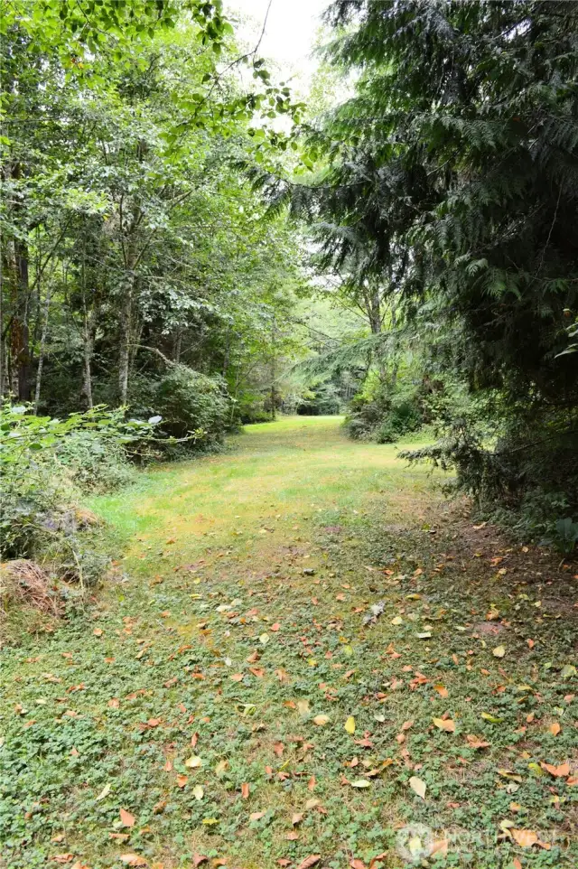 There are many refreshing, open grassy areas on this property as above . . .