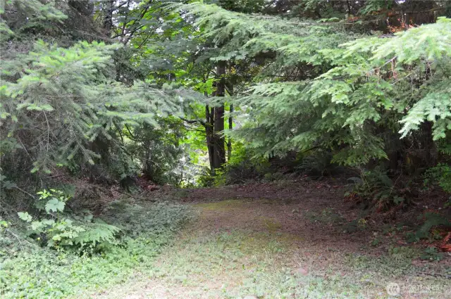 Here is a trail on the property.