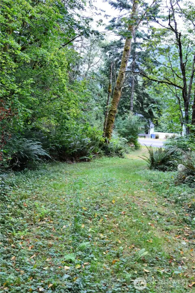 Another shot of this particular trail.