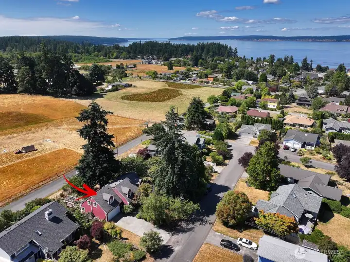 Excellent location with great walkability to Langley's shops, restaurants, art galleries, theaters, parks, beaches and museums. Note the two grand firs!