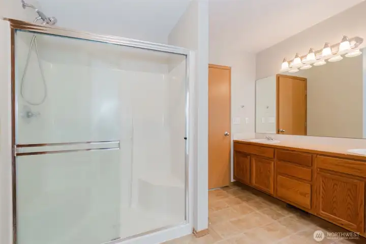 Primary bath shower and vanity view.