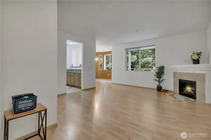 Enter to Living Area