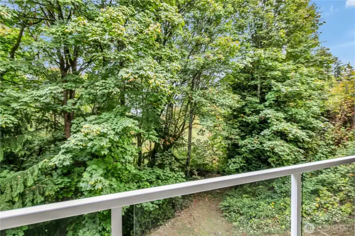Super Private Greenbelt view