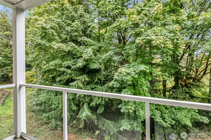 Balcony w/view