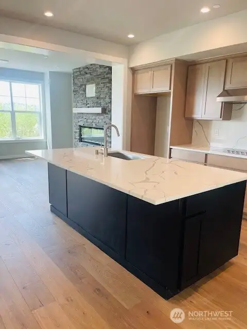 Kitchen & Family Room Colors in Lot 6