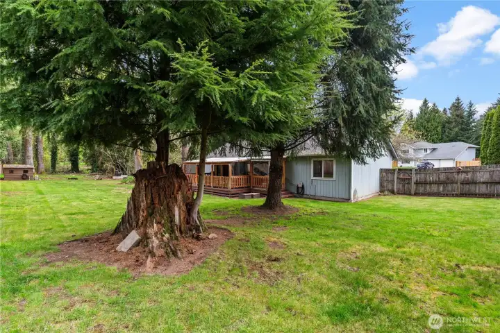 from the corner of the back yard